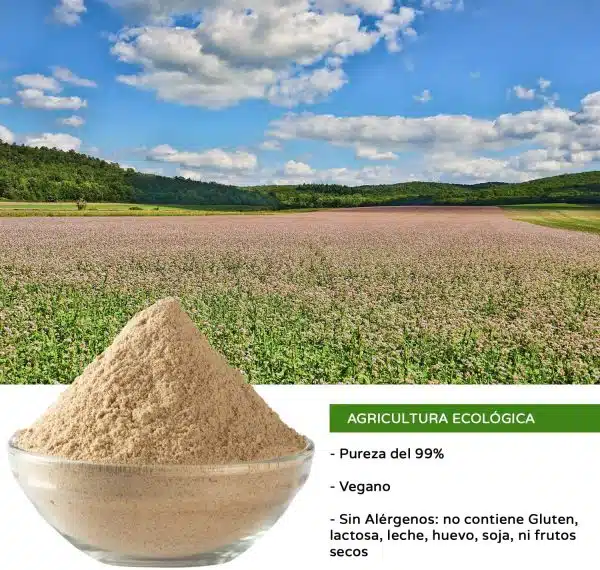 Psyllium - sin gluten-  MOARA 200g - Imagen 7