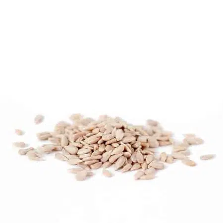 Semillas de Girasol Peladas - sin gluten- CAMINASTUR 1kg