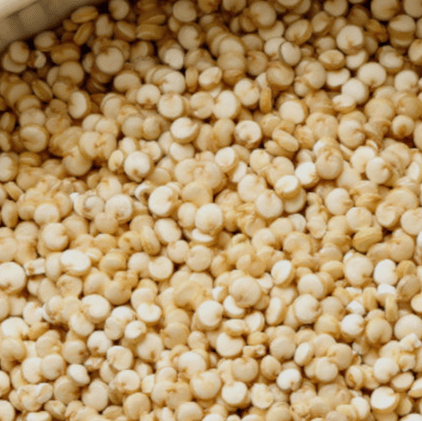 quinoa grano sin gluten espana