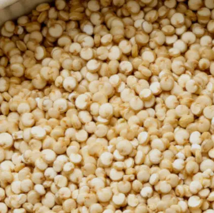 Quinoa en Grano 10 kg